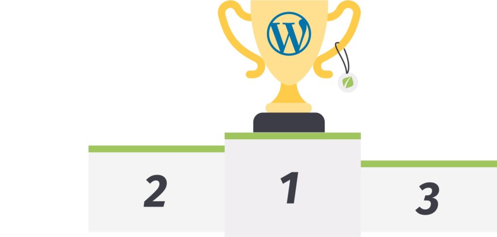  WordPress für Enterprise - marktführendes CMS unter den Top 10.000 Webseiten